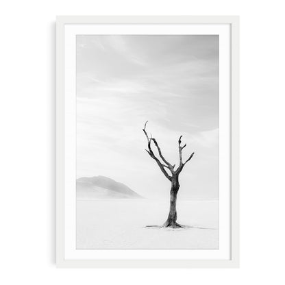 Black and white fine art photo of a single desert tree standing in sand with soft shadows and open sky creating a minimalist and tranquil atmosphere