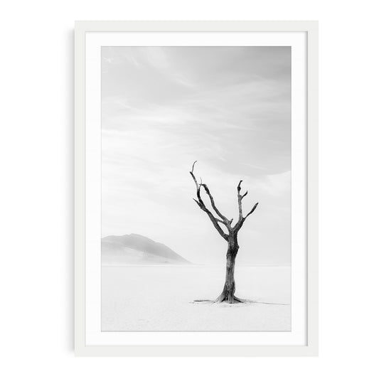 Black and white fine art photo of a single desert tree standing in sand with soft shadows and open sky creating a minimalist and tranquil atmosphere