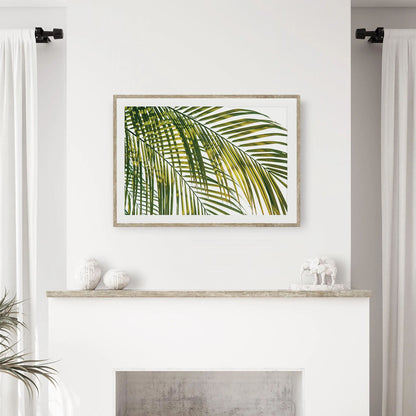 TROPIC CALM