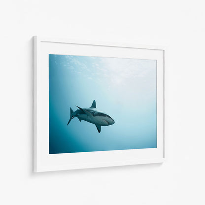 DEEP WATERS