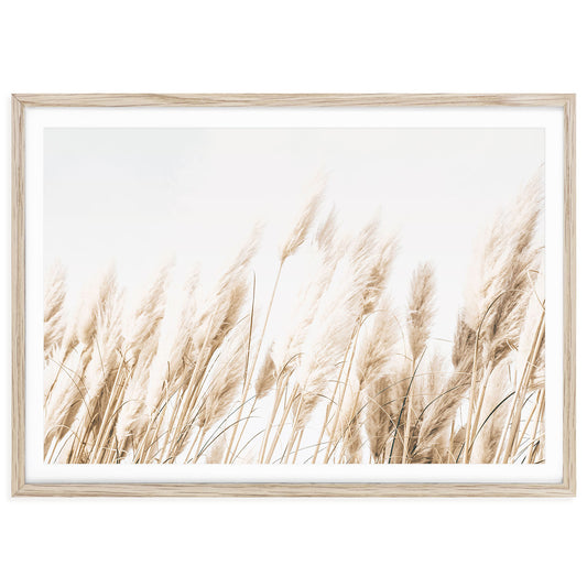 A neutral-toned photograph of gentle beach grasses under natural light, ideal for boho, coastal, and minimalist home decor.