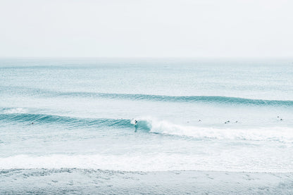 TIDELINE