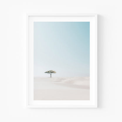 White Sand Tree