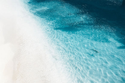 OCEAN DRIFT