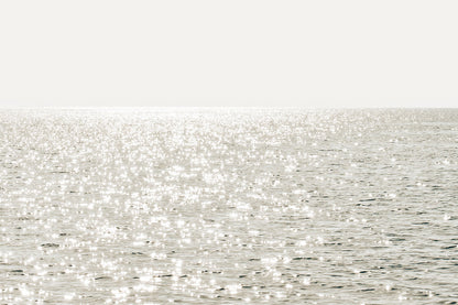SHIMMER