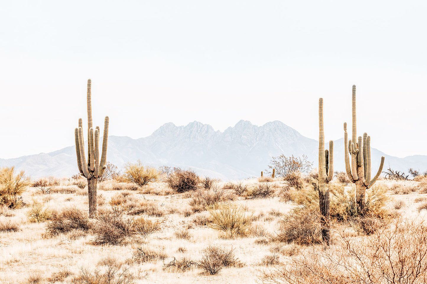 FOUR PEAKS