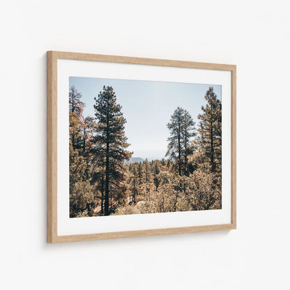 HUALAPAI WOODS