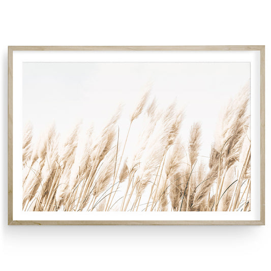 A neutral-toned photograph of gentle beach grasses under natural light, ideal for boho, coastal, and minimalist home decor.