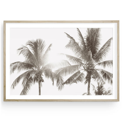 Muted coastal palm tree photo print with minimalist tropical tones, Hawaii-inspired fine art wall decor for modern beach homes, available framed or unframed.