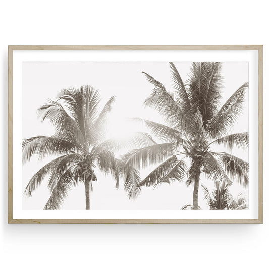 Muted coastal palm tree photo print with minimalist tropical tones, Hawaii-inspired fine art wall decor for modern beach homes, available framed or unframed.
