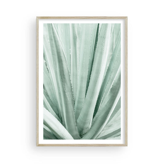 GREEN AGAVE