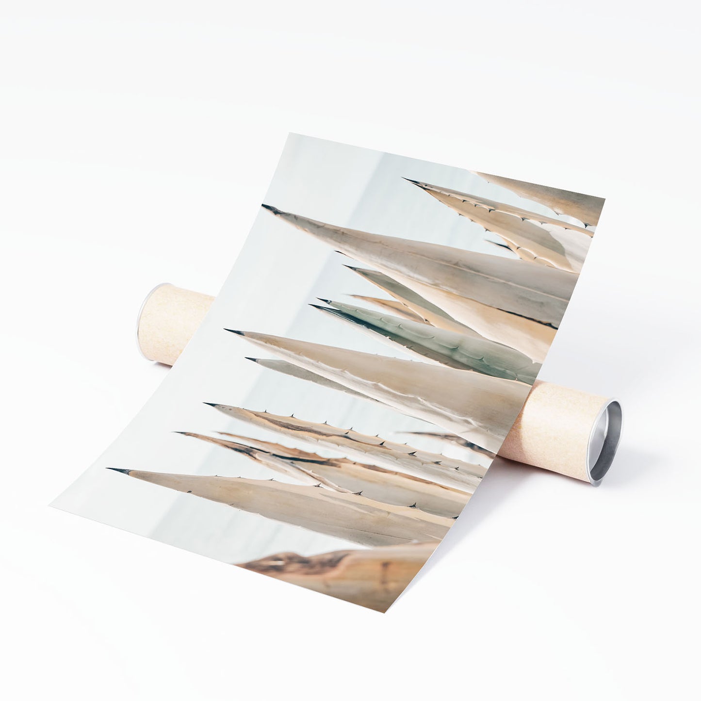 SOFT BOTANICS