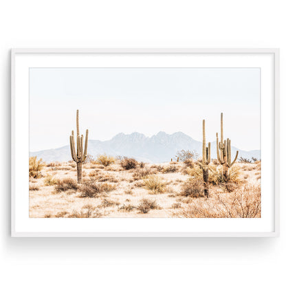 FOUR PEAKS