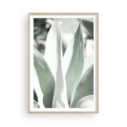 Minimalist botanical print of pale green agave leaves, desert-inspired wall art for neutral interiors, modern nature photography for home or office decor.