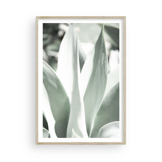 Minimalist botanical print of pale green agave leaves, desert-inspired wall art for neutral interiors, modern nature photography for home or office decor.