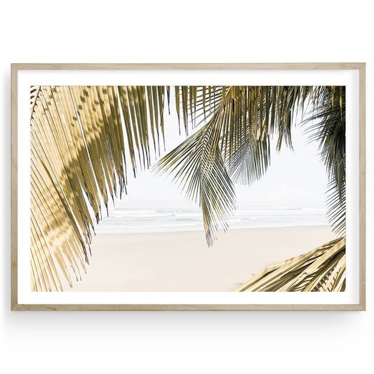 Tropical palm tree on beach with blue sky, minimalist island wall art, framed summer photography for coastal and boho home decor.